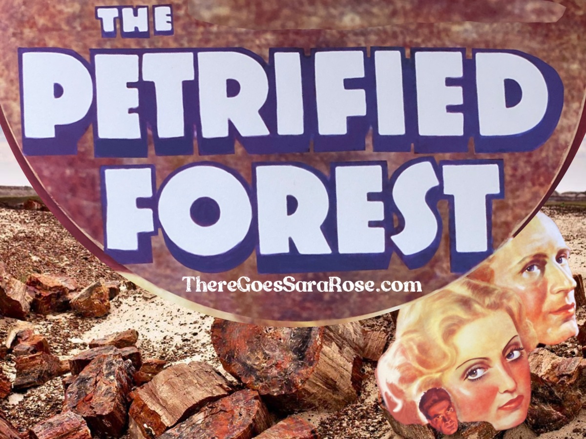Petrified Forest National Park, Arizona || There Goes Sara Rose