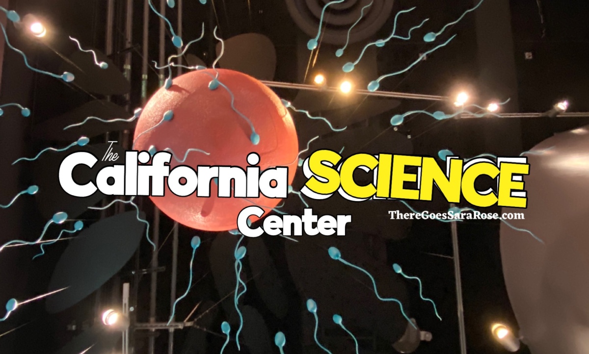 Unveiling the Marvels of the California Science Museum in Exposition Park, LA || ThereGoesSaraRose.com